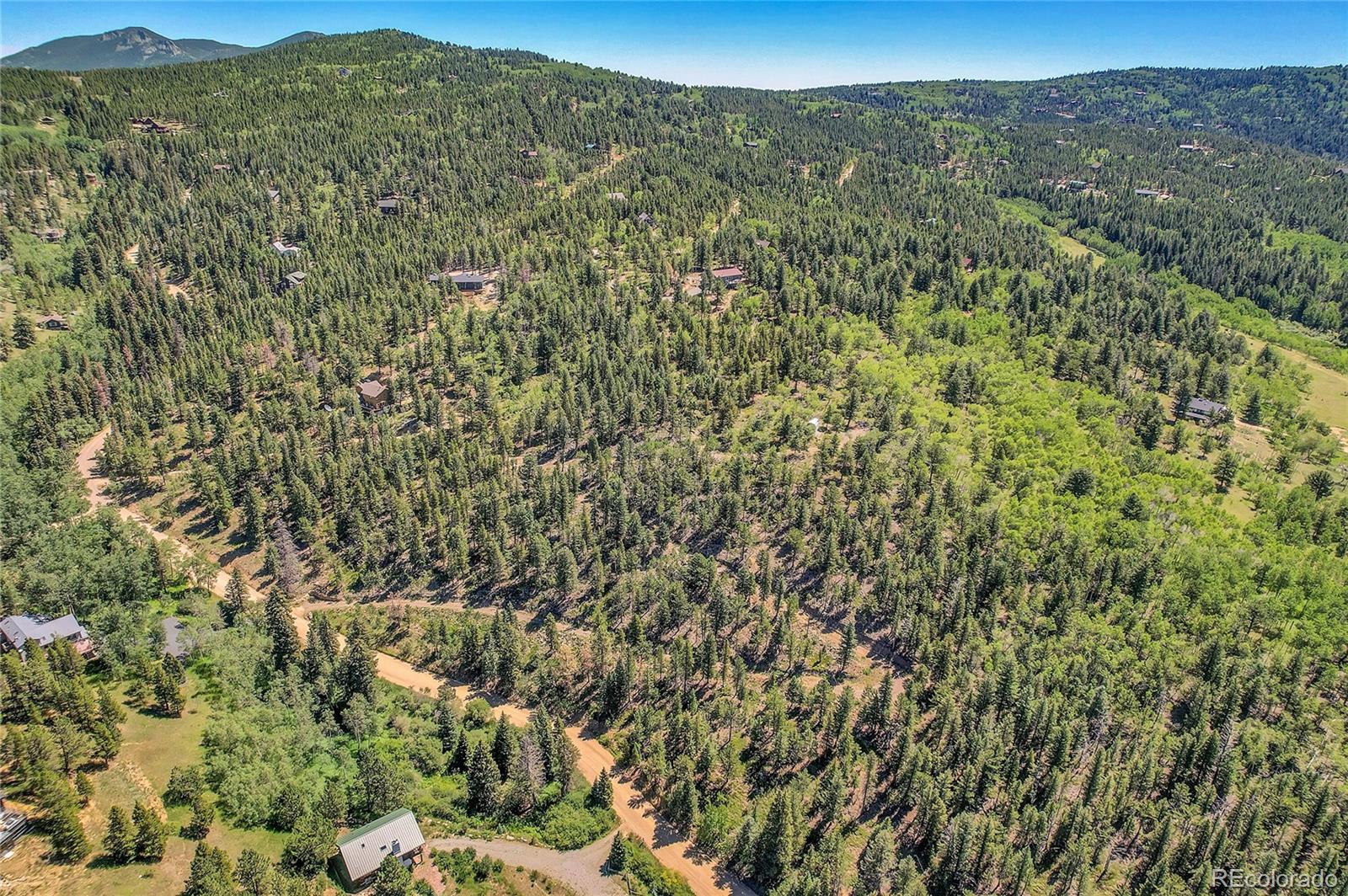 a view of a lush green forest with a mountain in the background