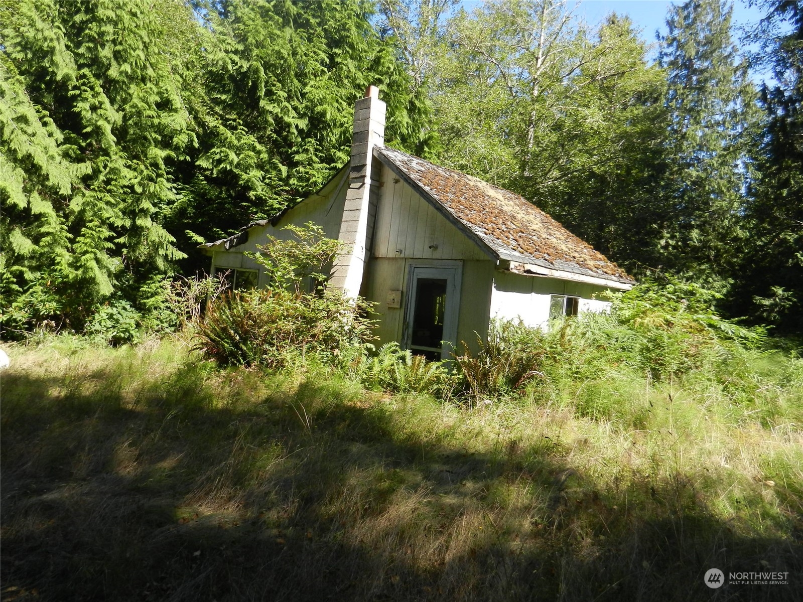 a view of house with tall trees