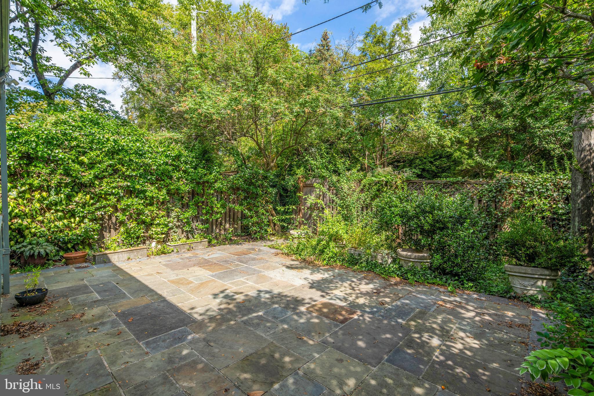 a view of a yard with plants and trees