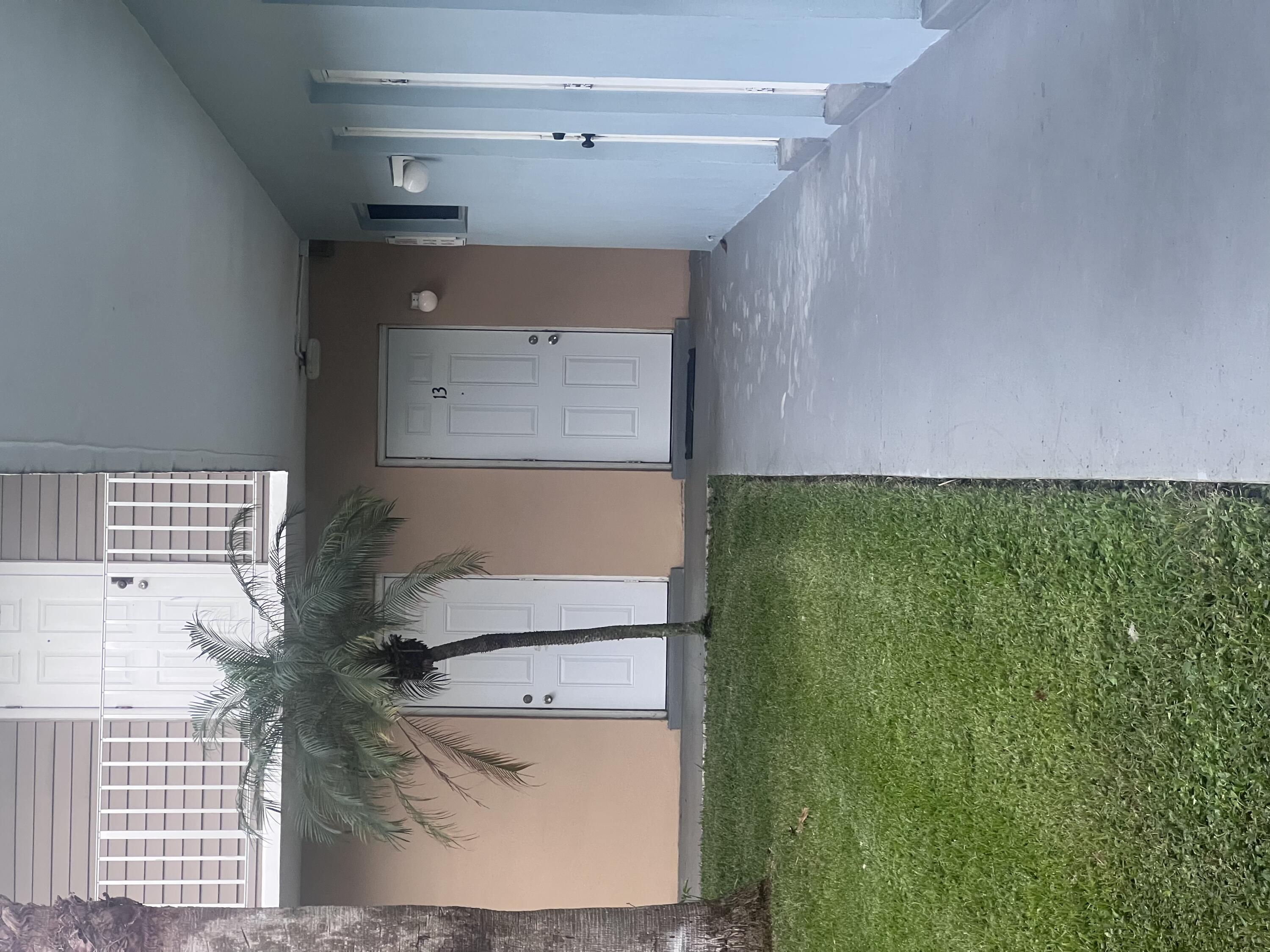 an empty room with a window and palm tree