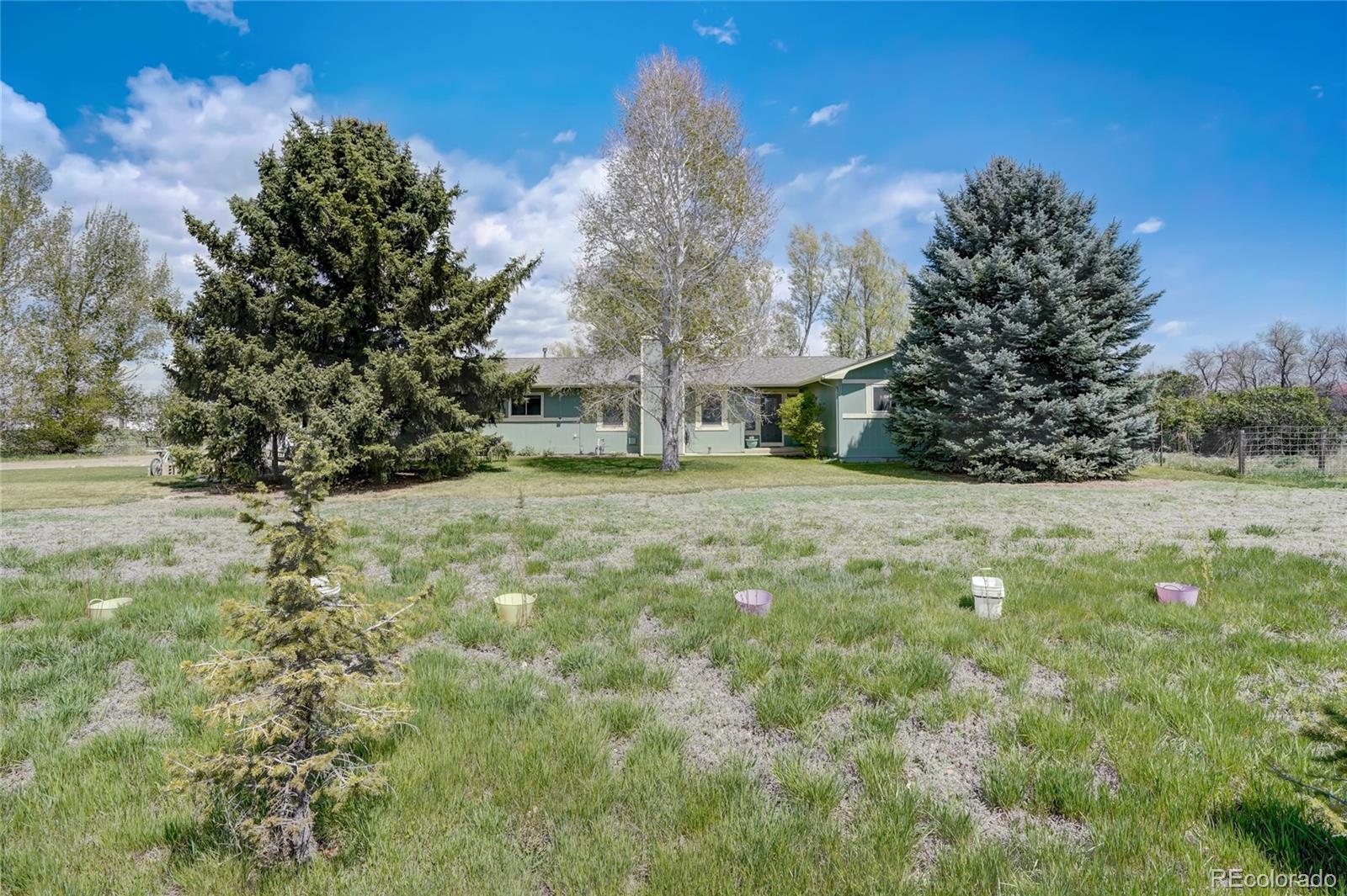 a view of a yard with large trees