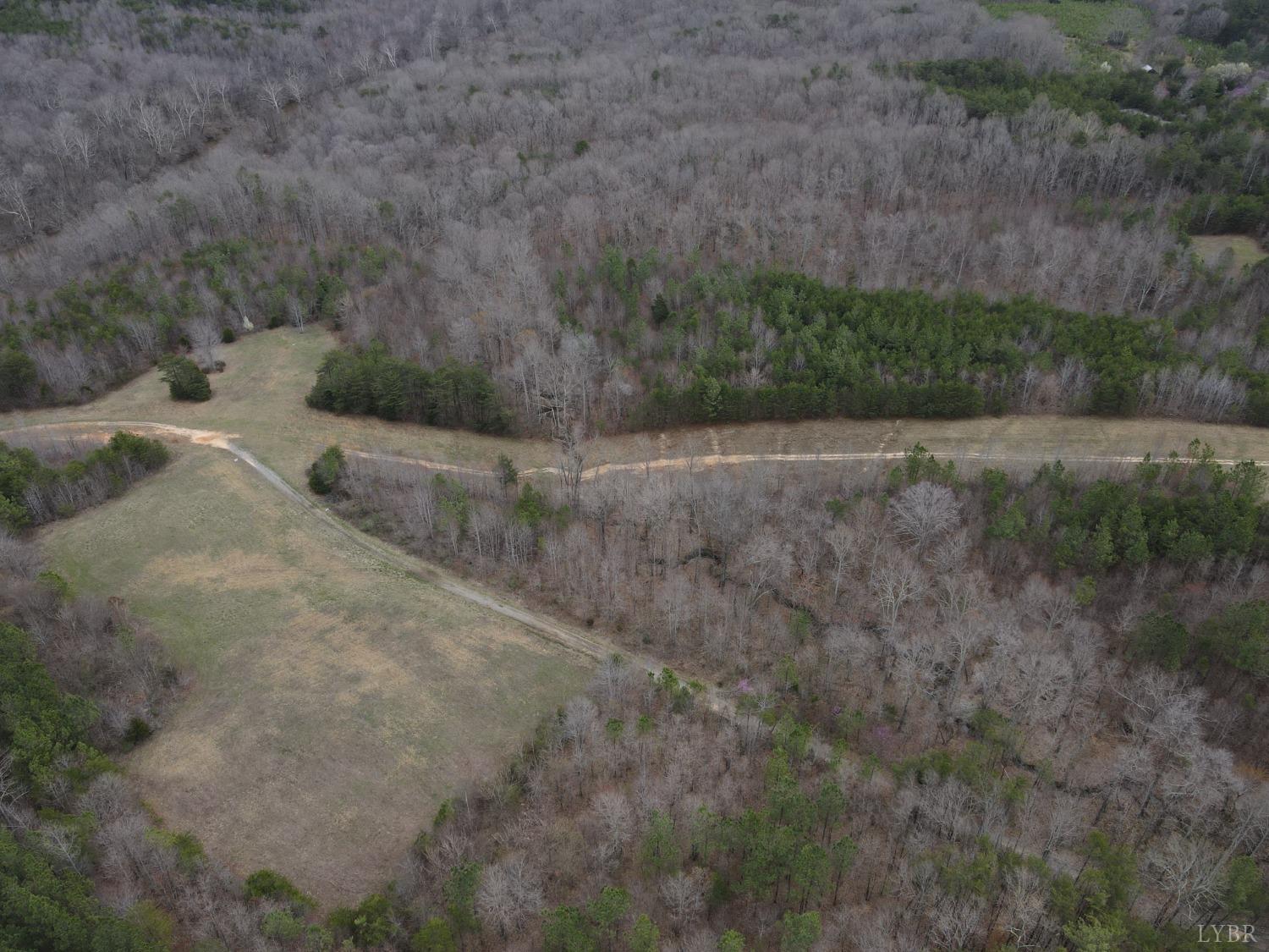 a view of a field with large trees