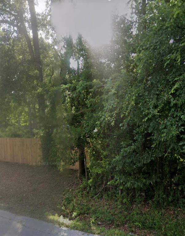 a view of a forest with trees in the background