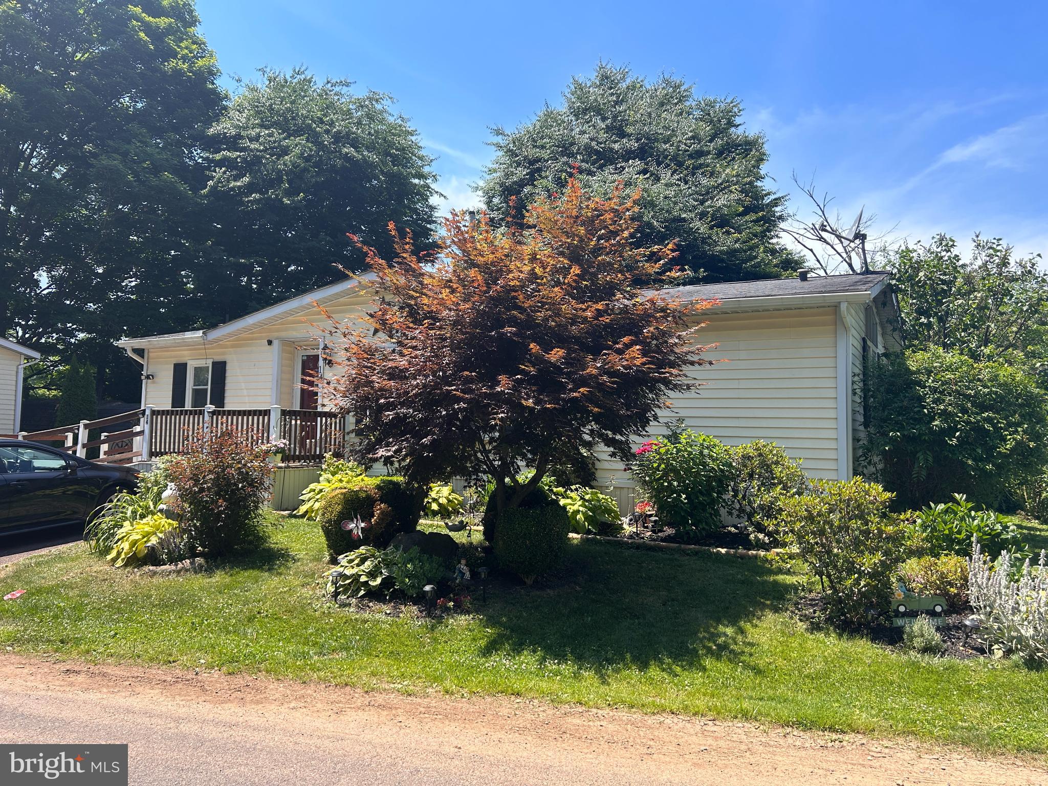 a house that has a tree in front of it