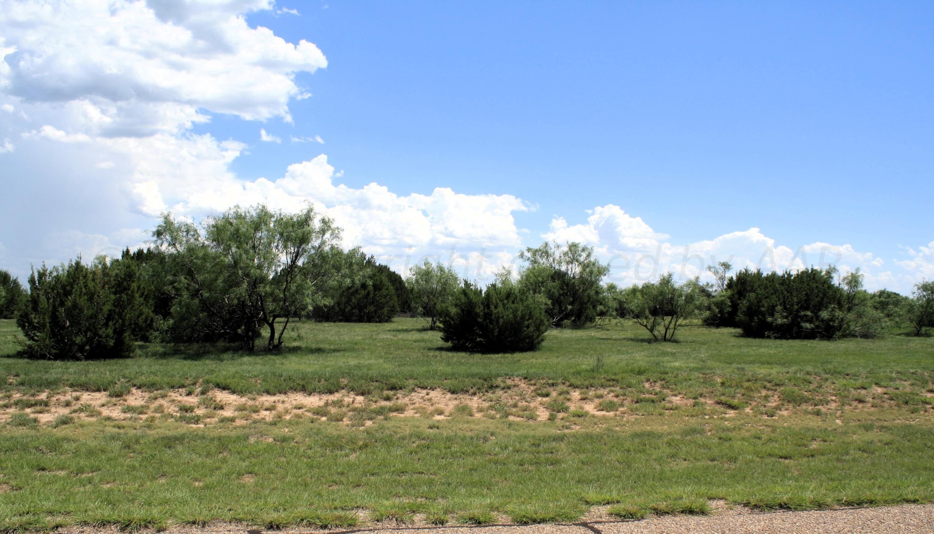 a view of a grassy field