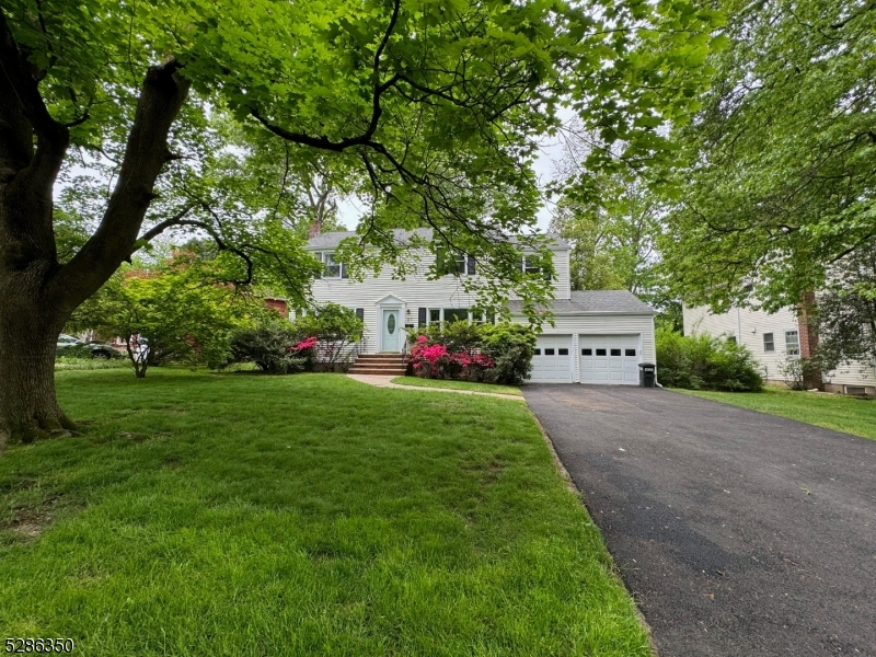 a view of house with garden and trees