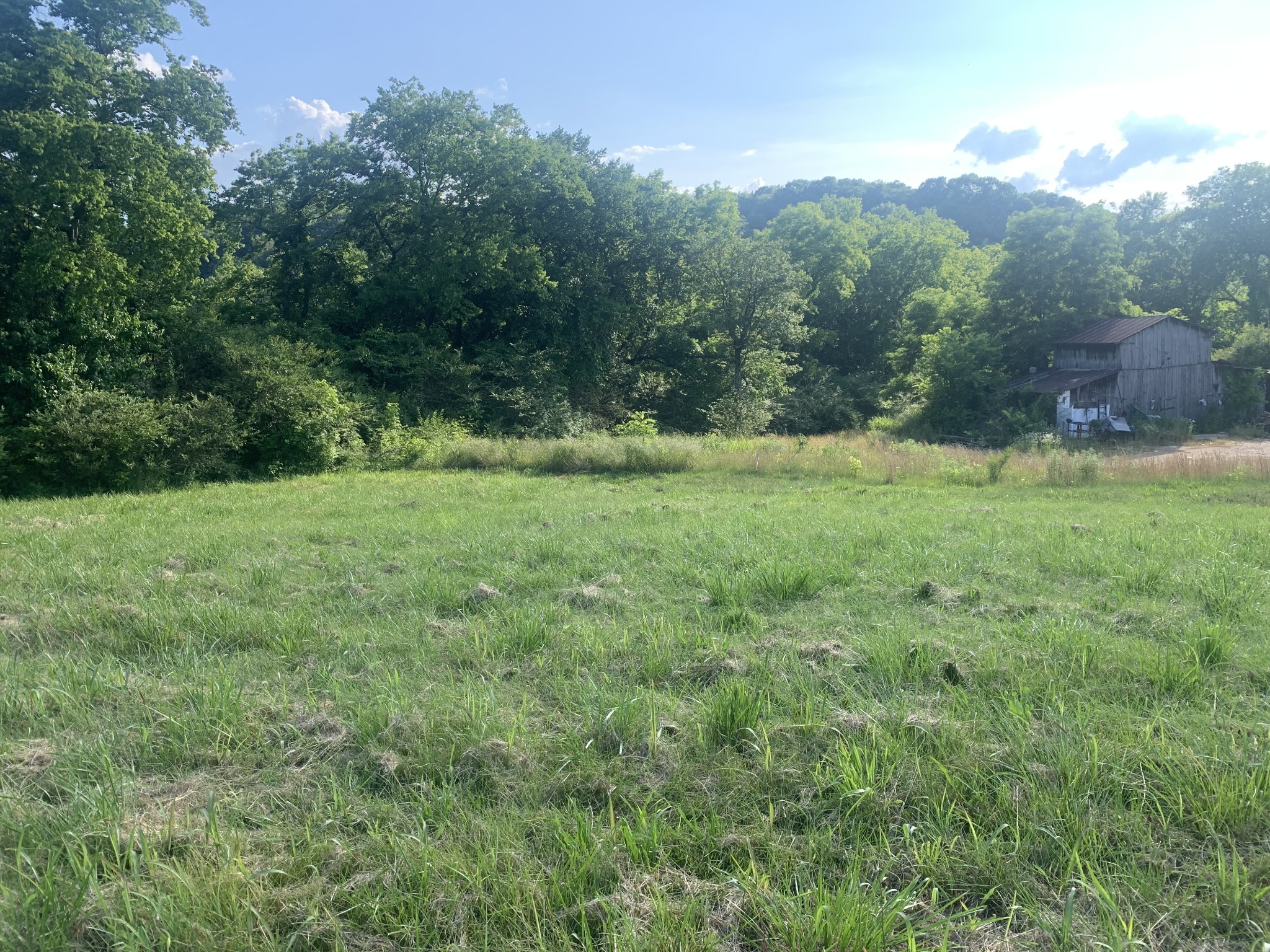 a view of grassy field with trees in the background