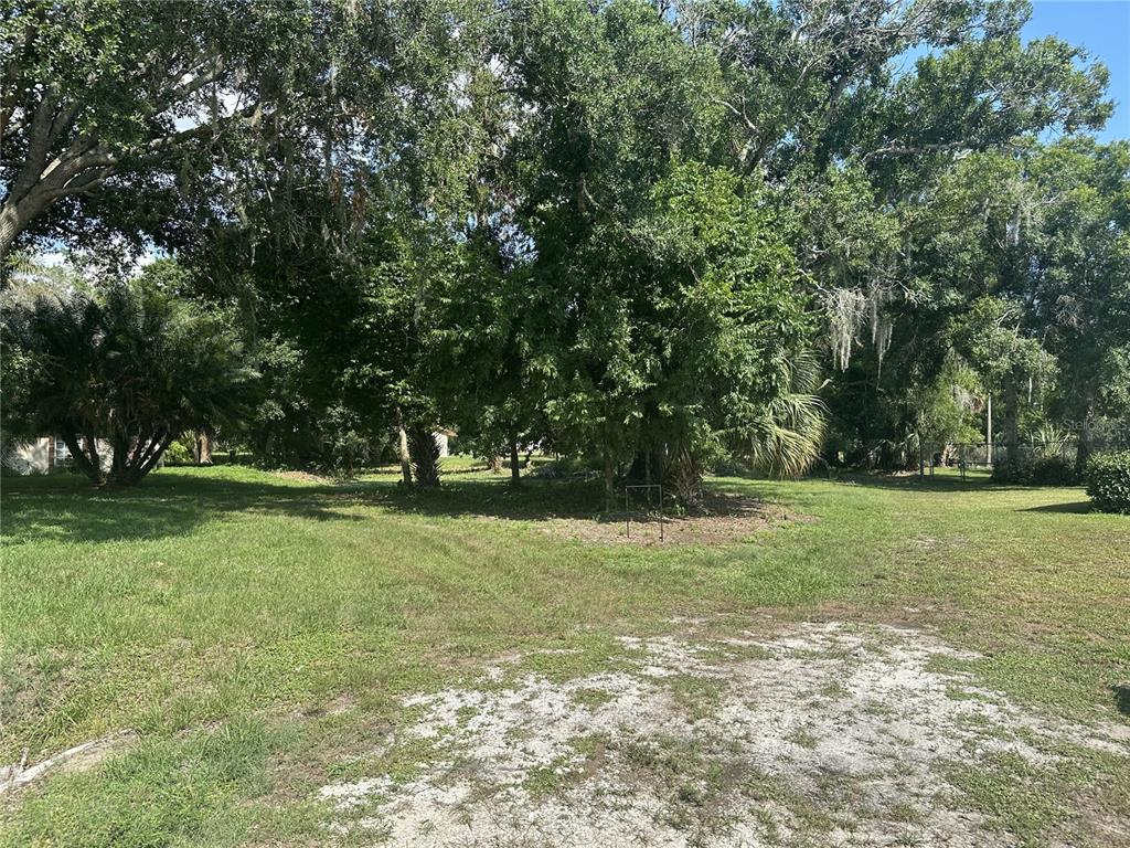 a view of a field with trees