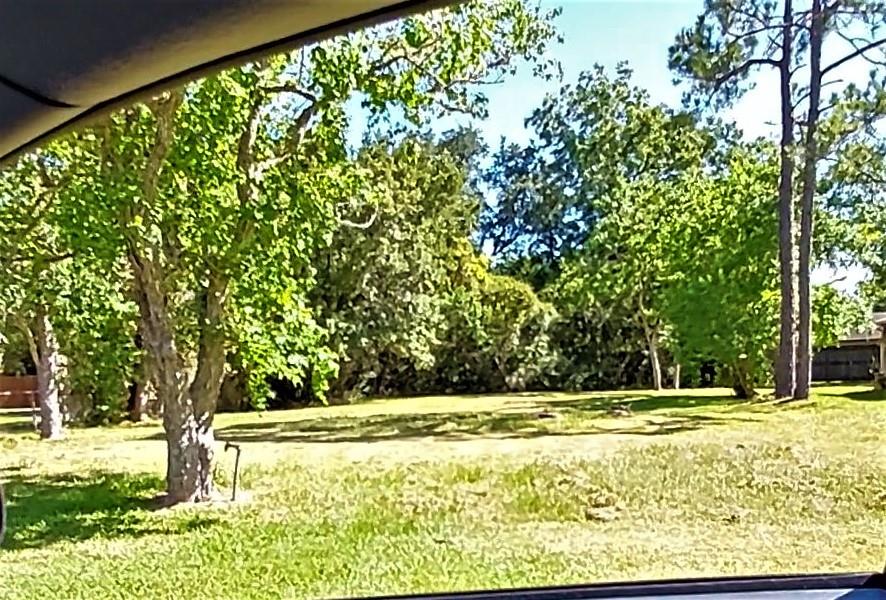 a view of swimming pool from a yard