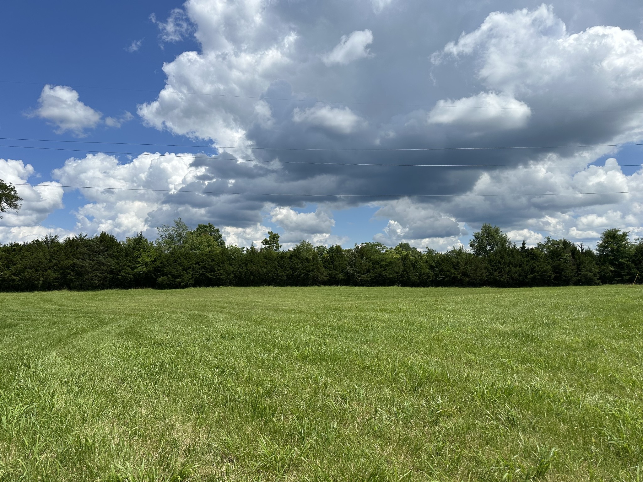 a view of field with an trees in the background