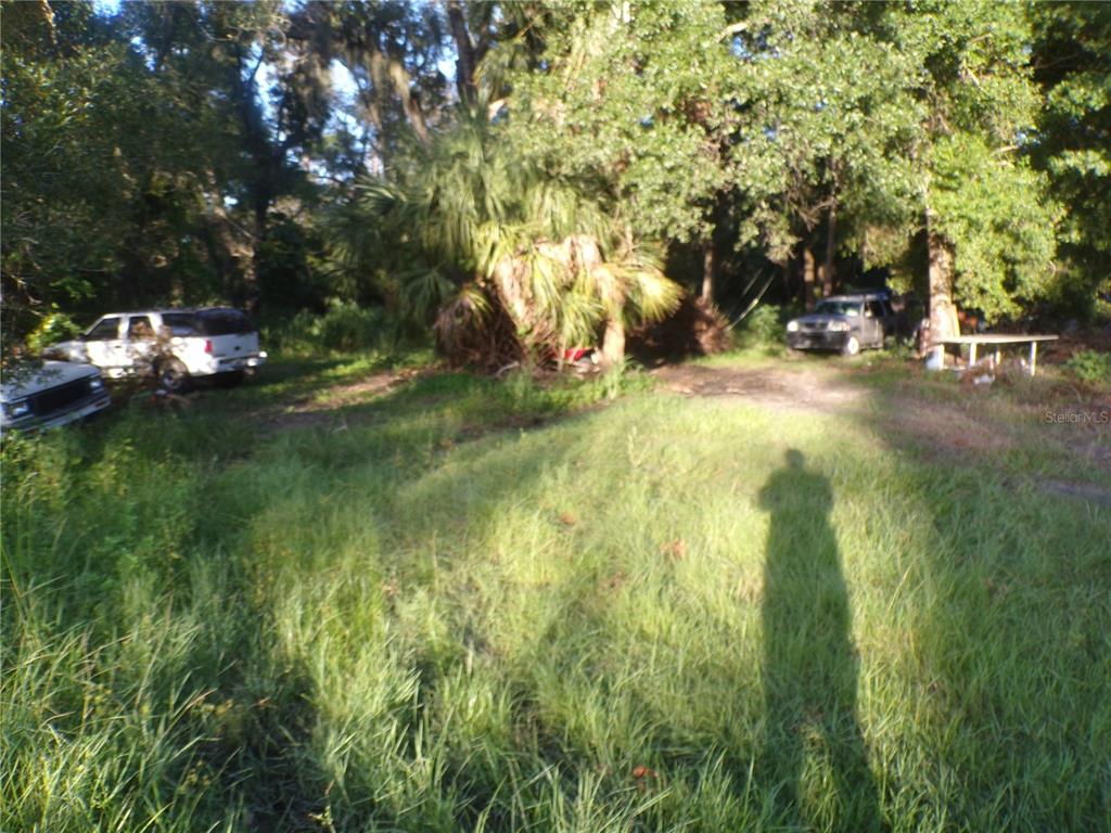 a view of yard with green space