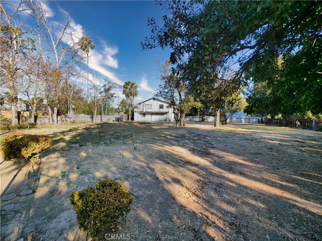 a view of dirt yard with a large tree