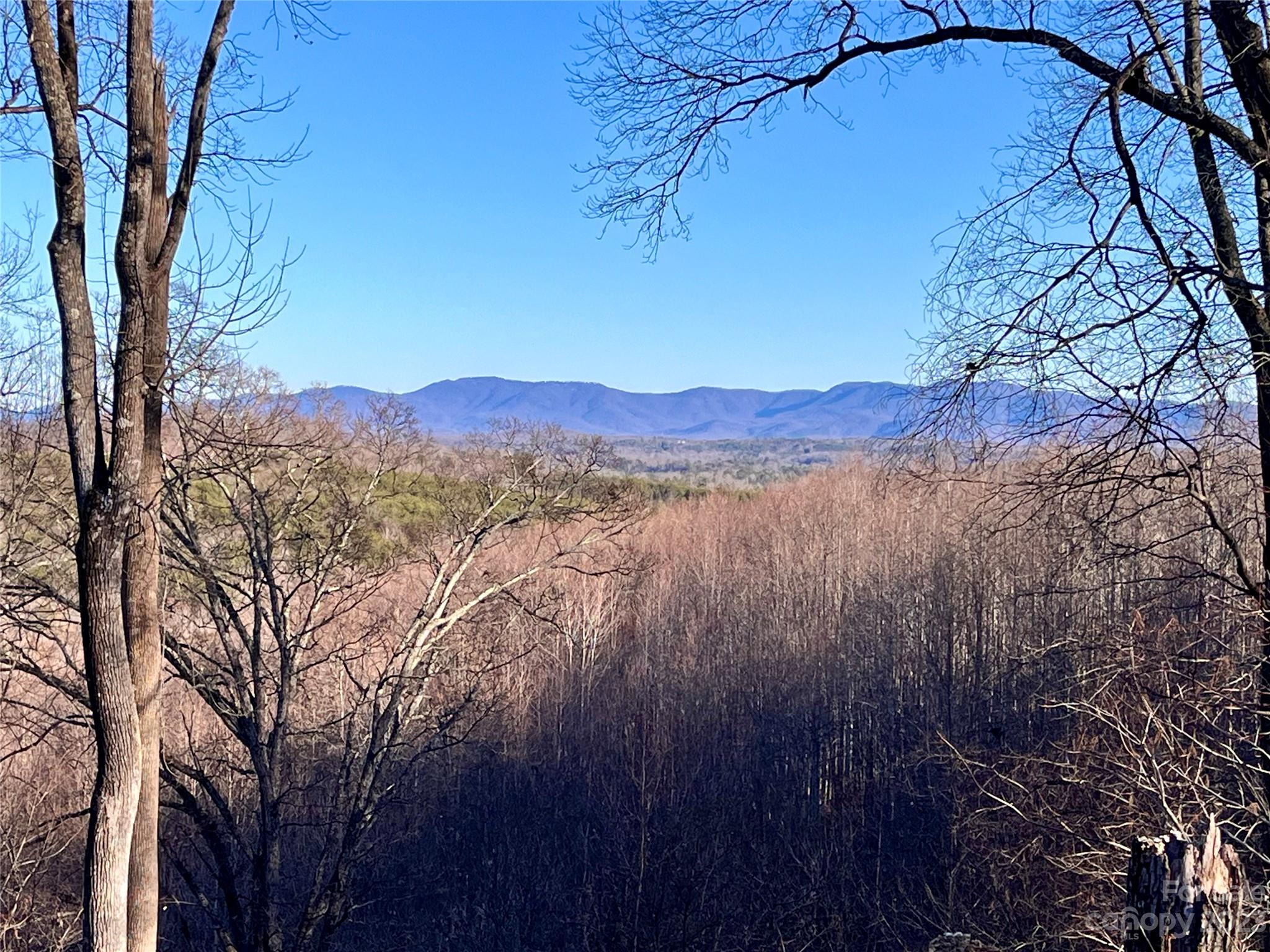 a view of a mountain with a tree in the background