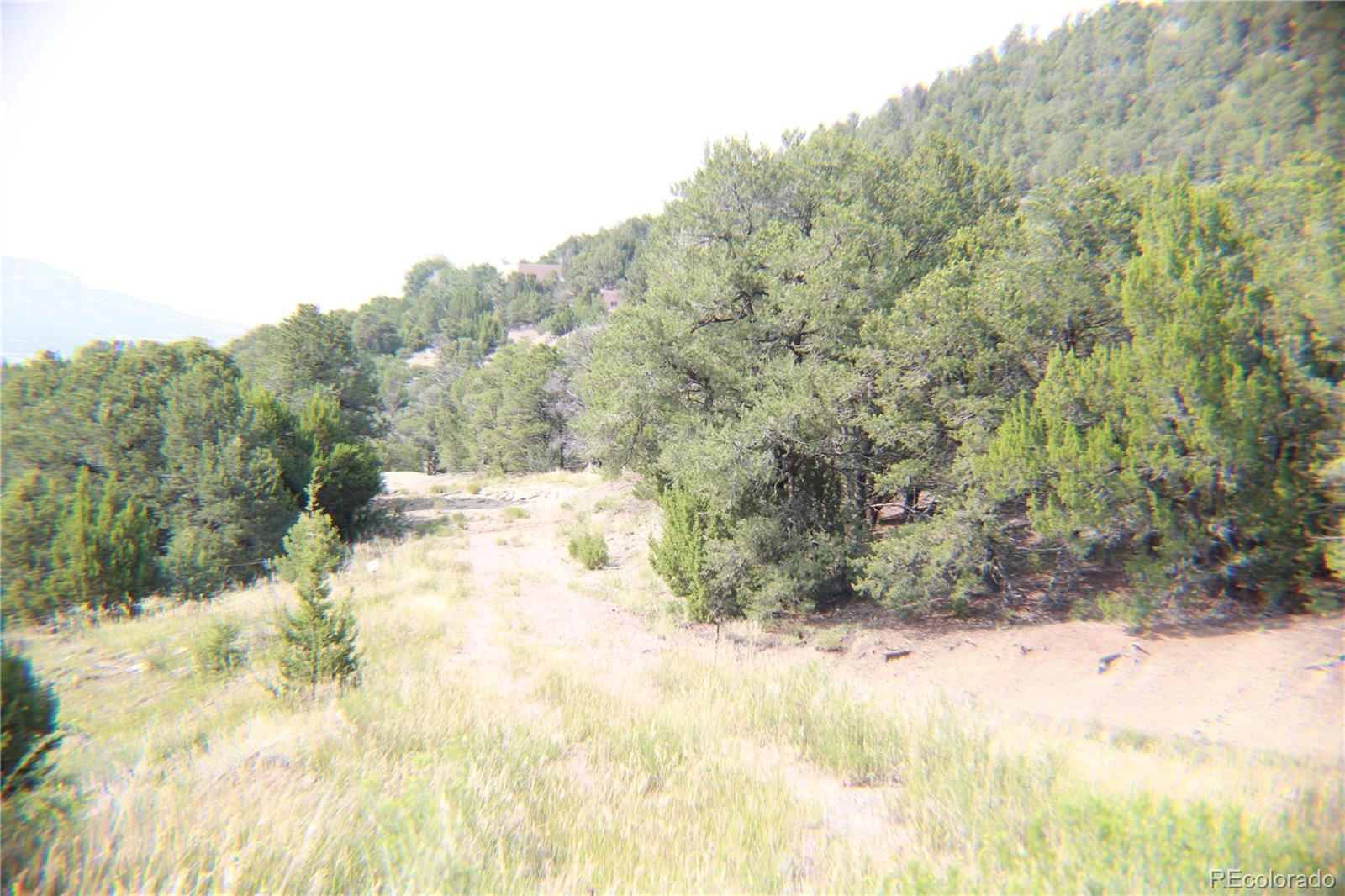 a view of a yard with trees