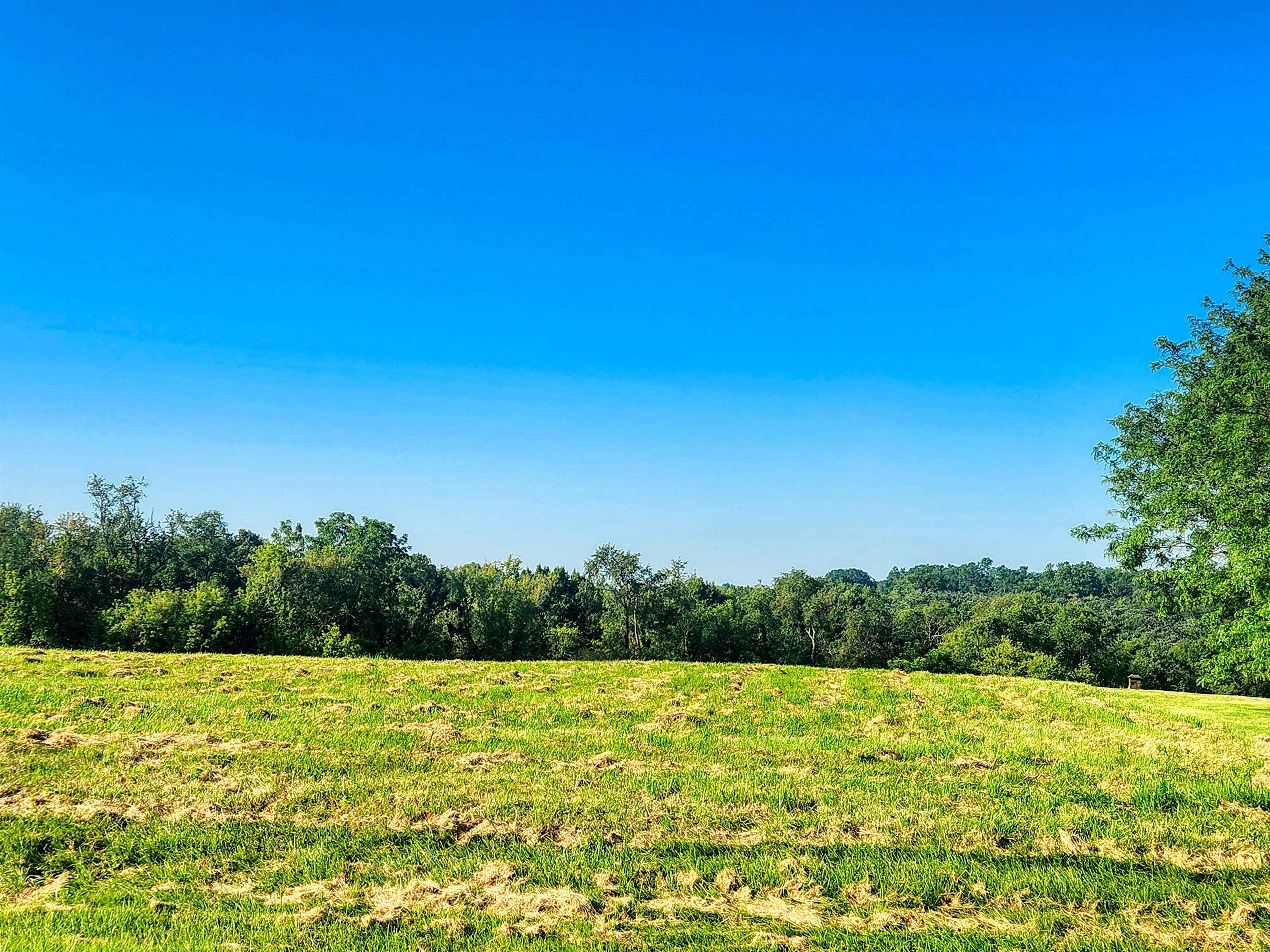 a view of an outdoor space and a yard