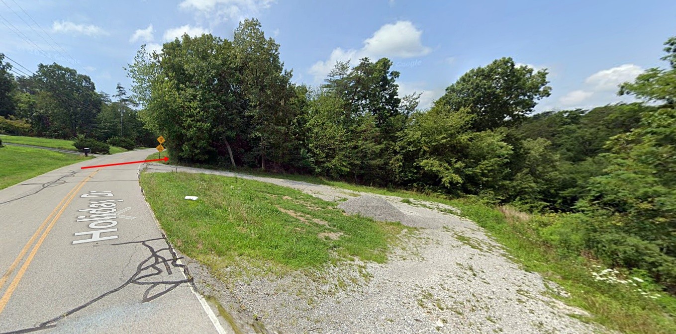 a view of a pathway with a park