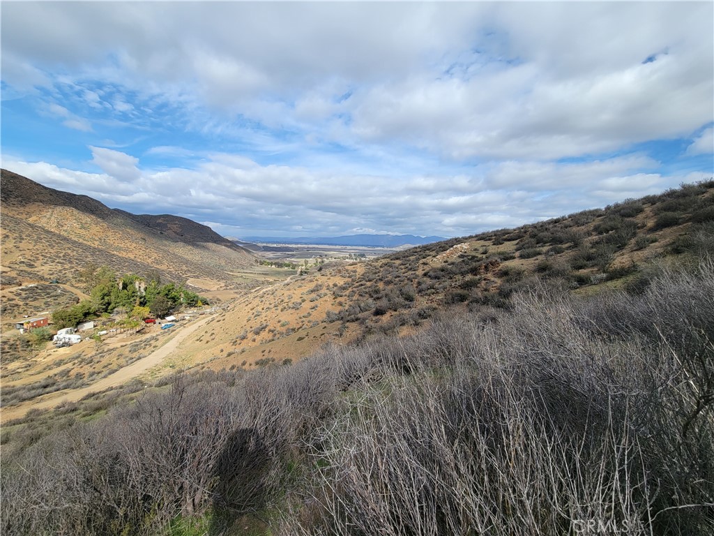 a view of a dry yard