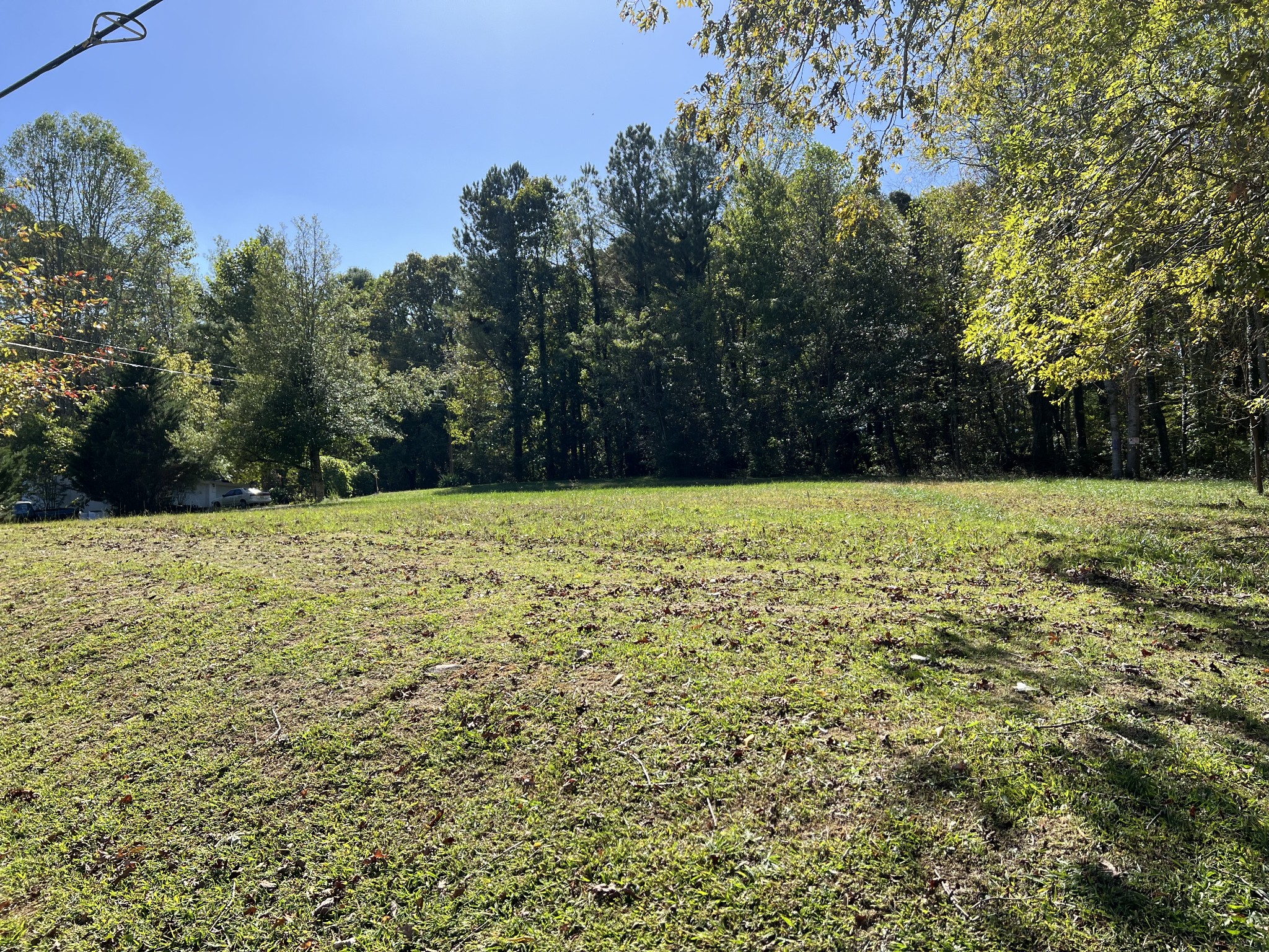 a view of green field with trees in the background