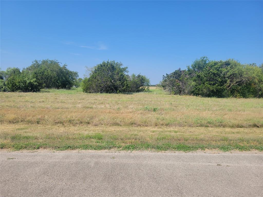 a view of a field with trees in background