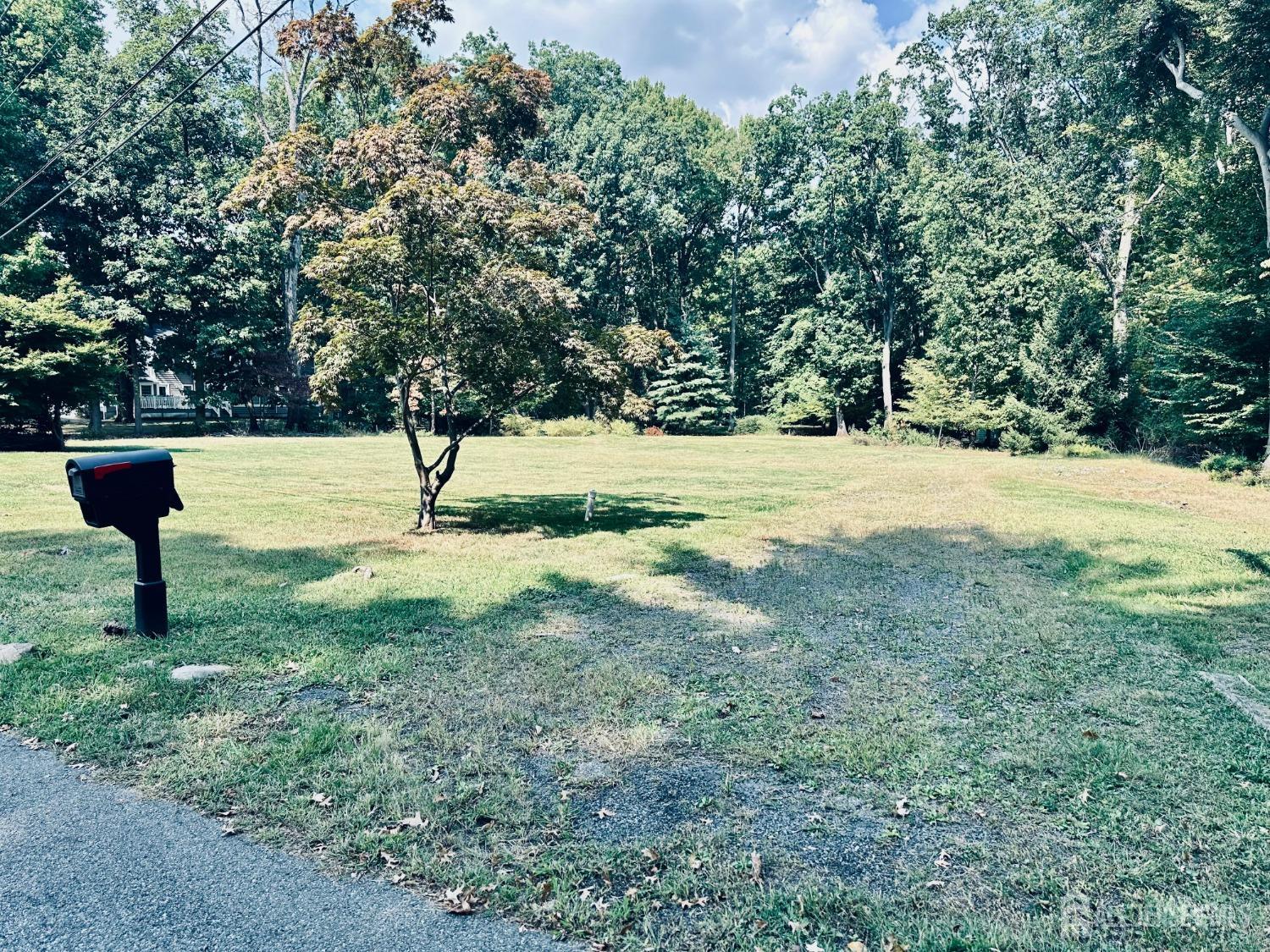 a view of an outdoor space with yard