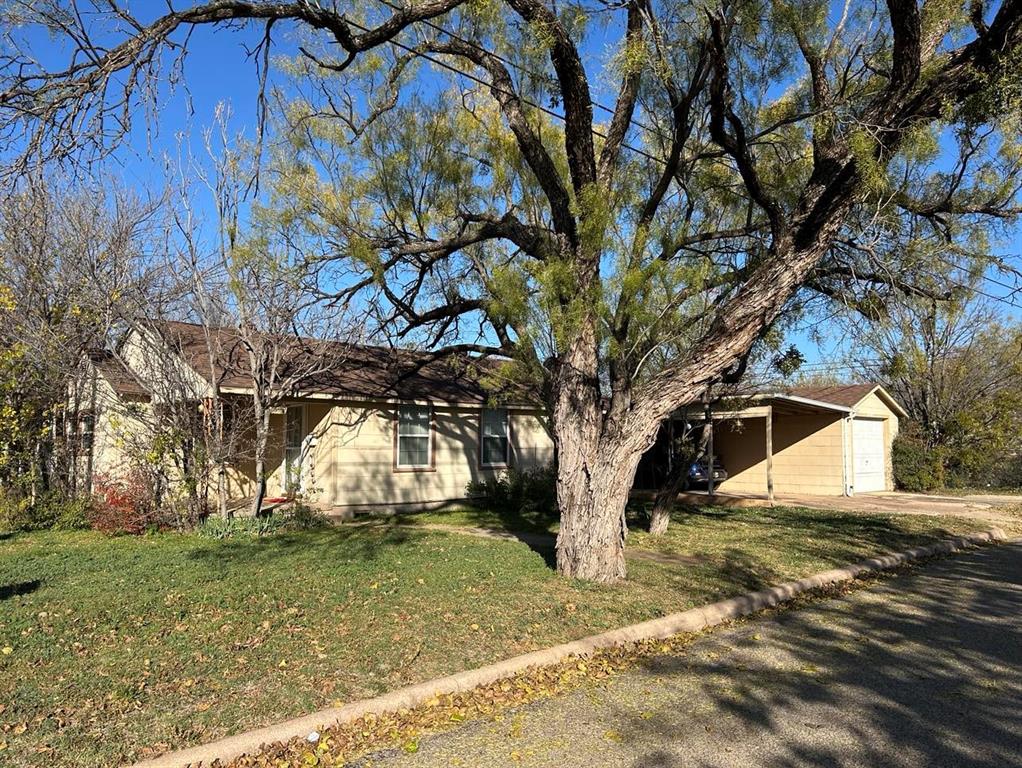 a view of a yard with a tree