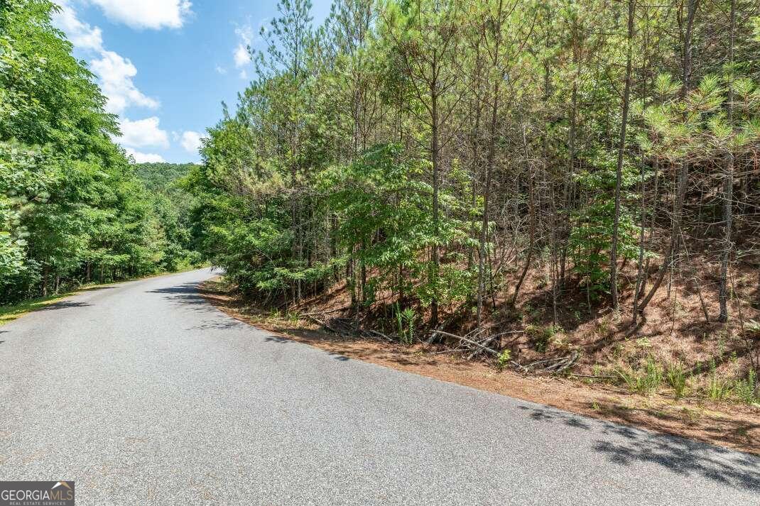 a view of a dirt road with trees in the background