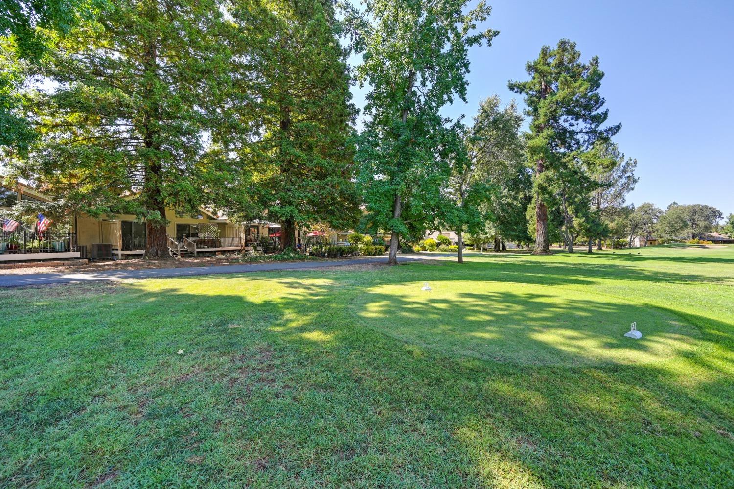 a view of a park with lots of trees