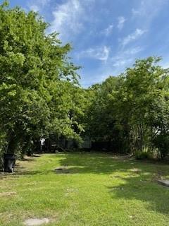 a view of a field of grass and trees