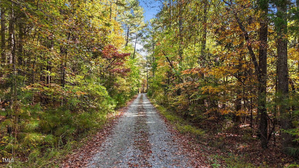 a view of a pathway both side of yard