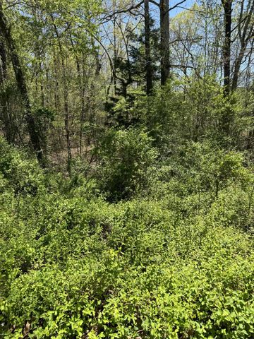 $22,500 | 22 Hidden Ridge Loop