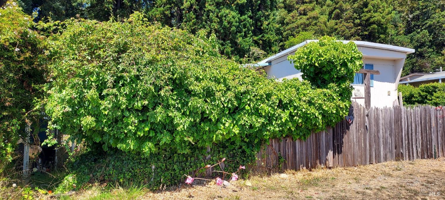 a backyard of a house with lots of green space