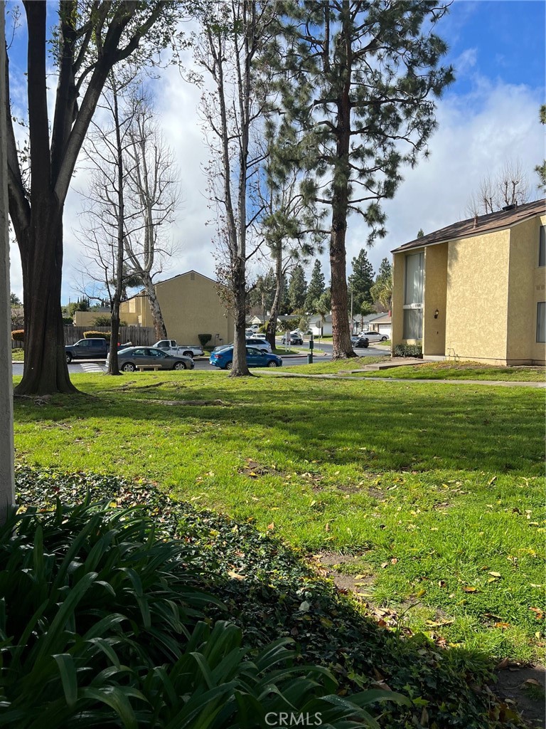 a view of a trees in front of a building