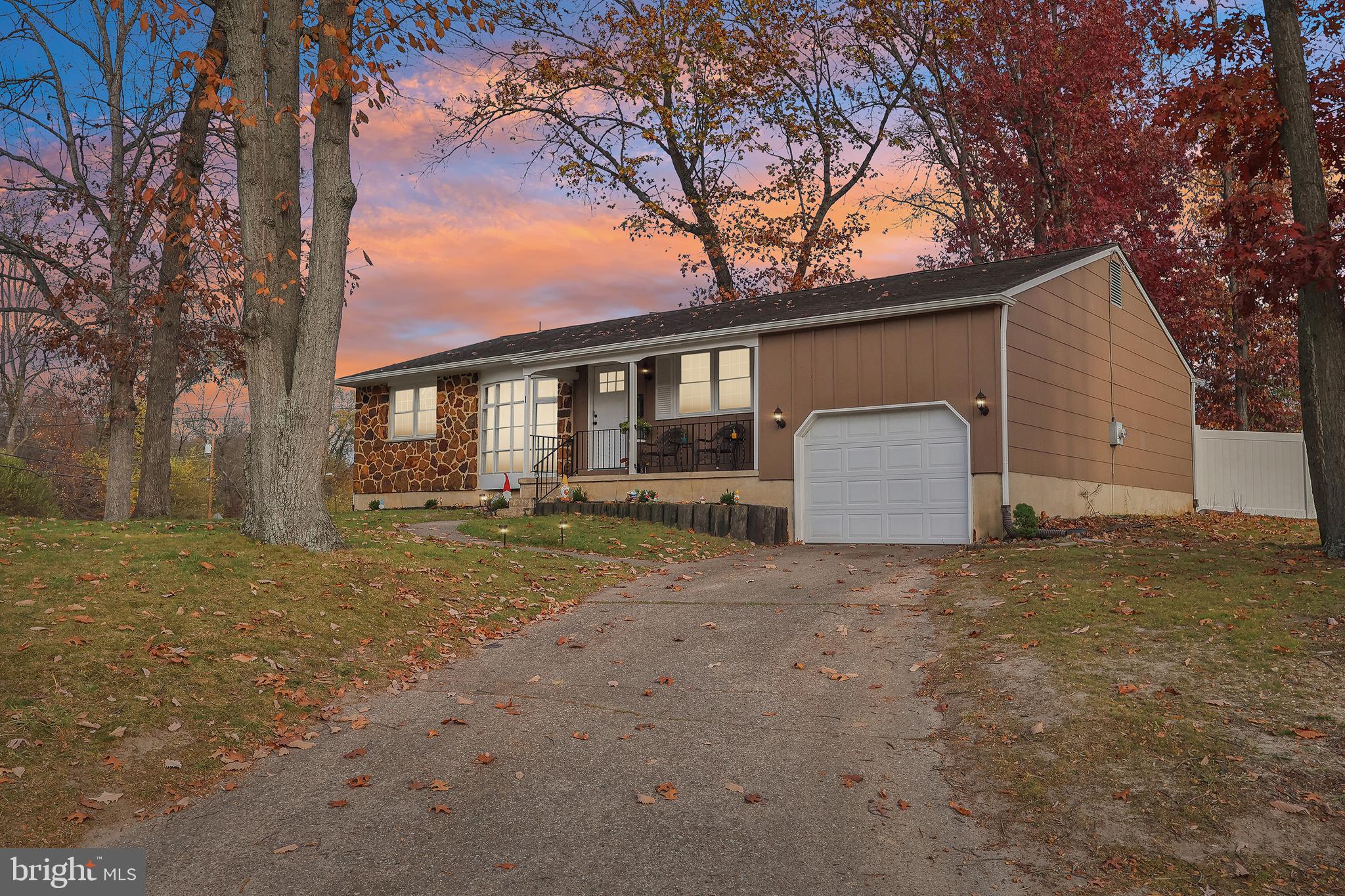 a view of a house with a yard and garage