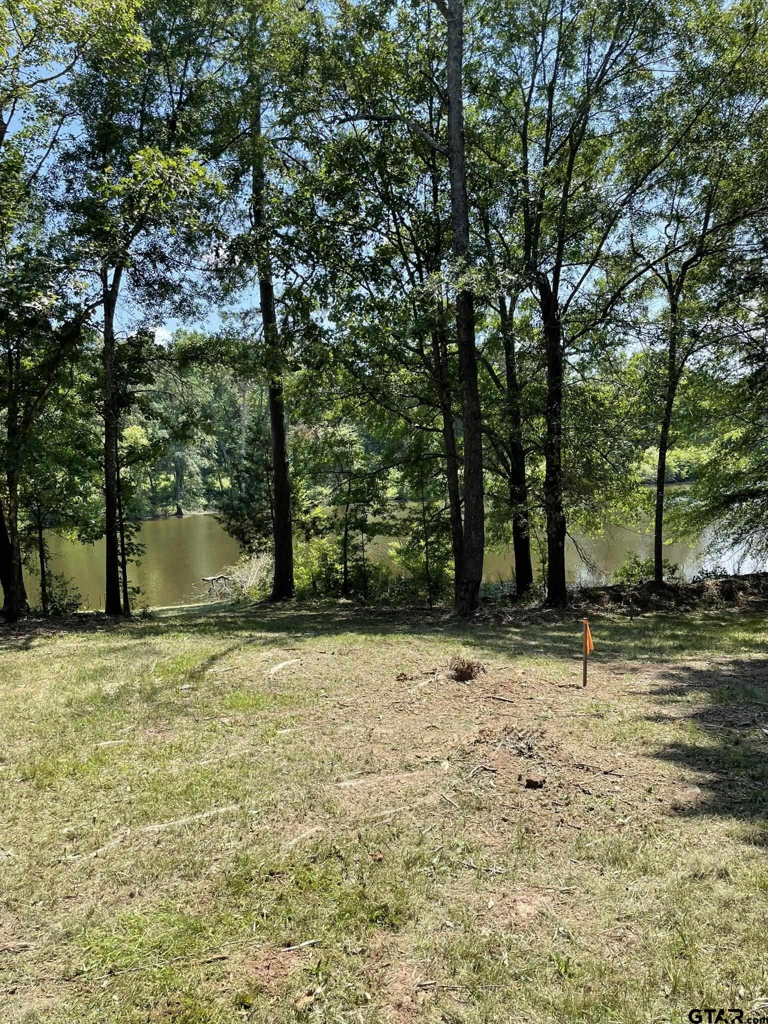 a backyard of a house with trees and outdoor