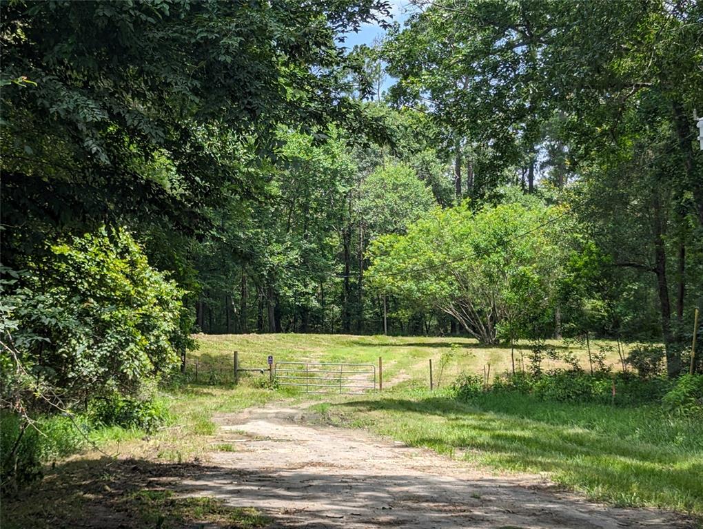 a view of a back yard