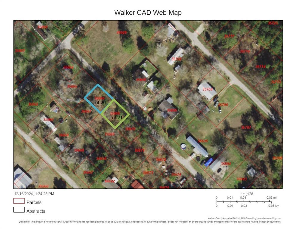 Walker County CAD map.  Lot 21 is the one highlighted in Green.  Lot 20 highlighted in blue is also for sale with a different MLS #.