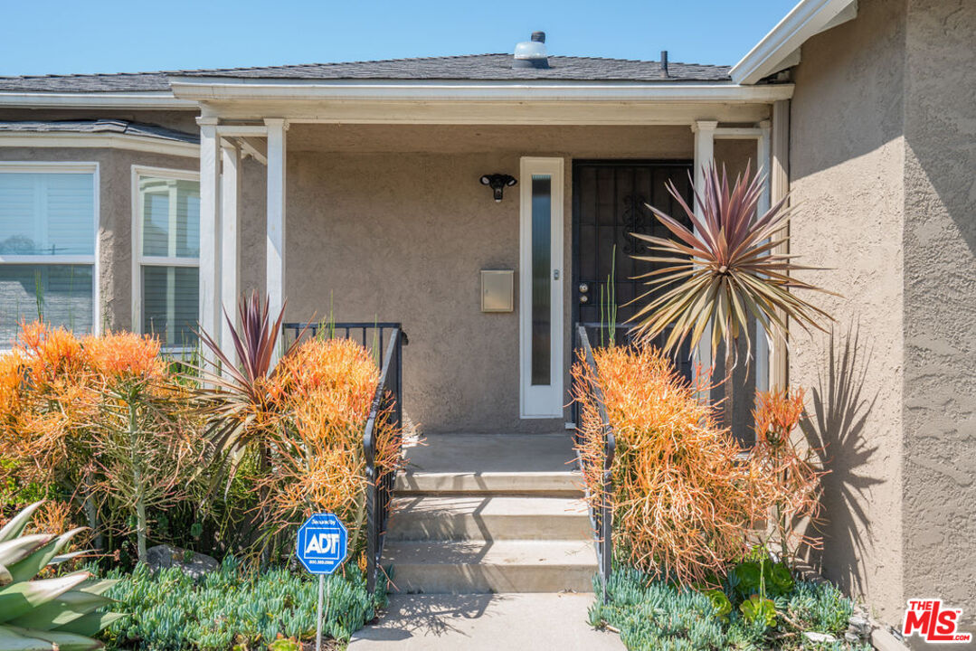 a view of front door and potted plants