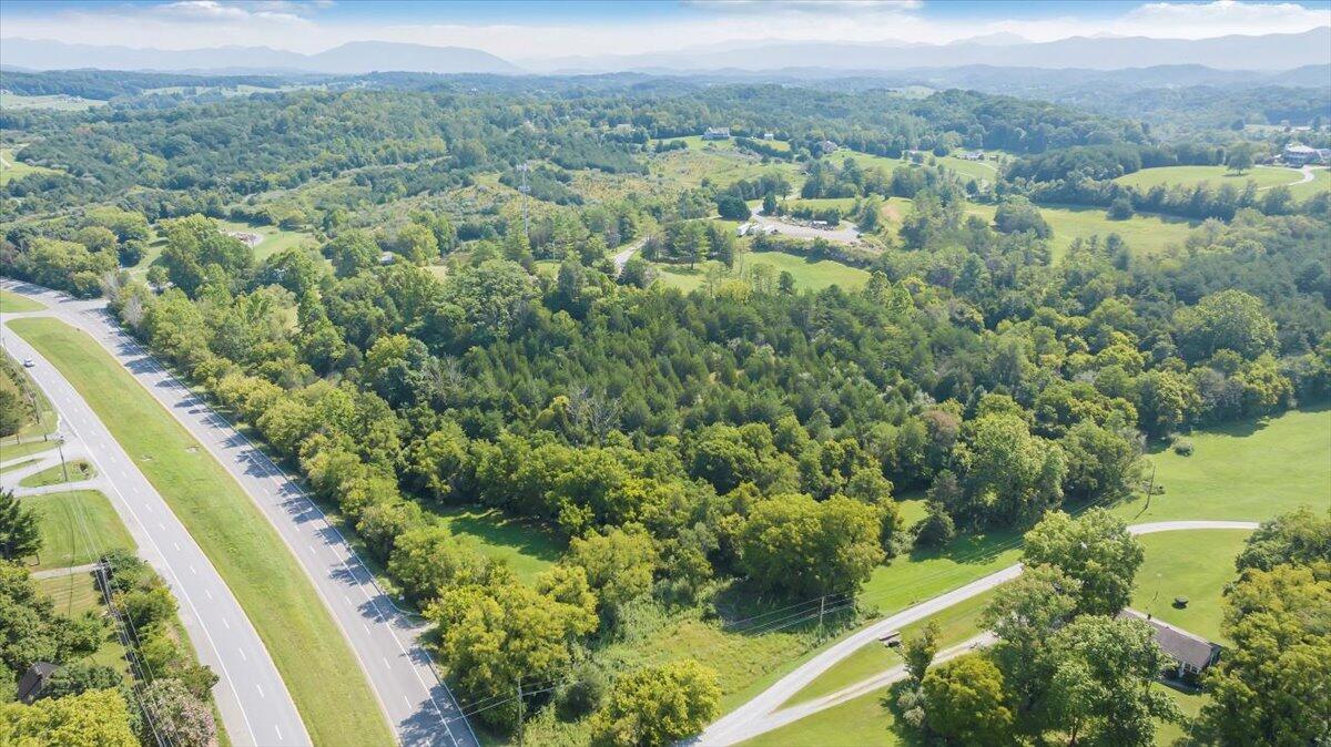 a view of a city with lush green forest