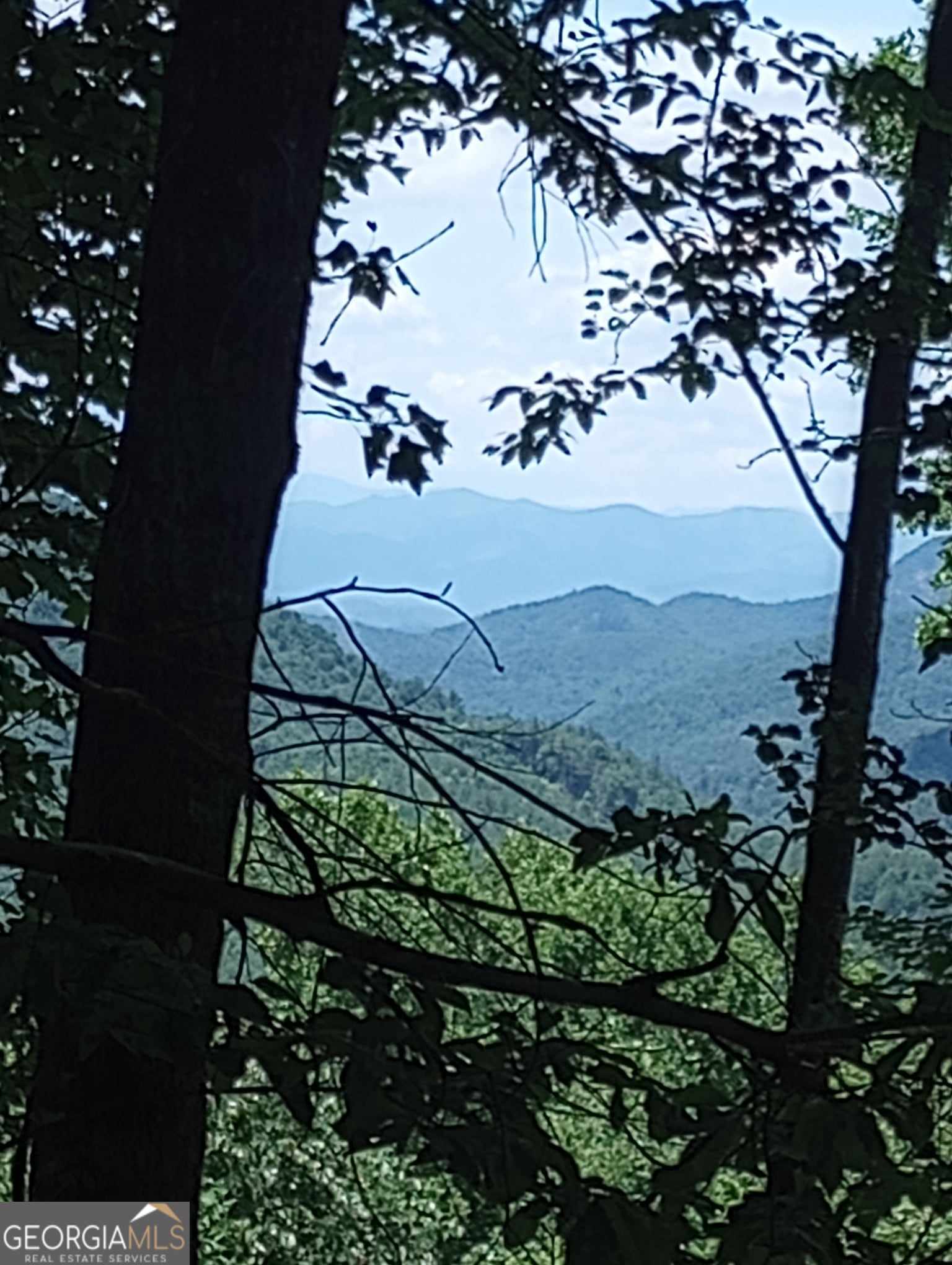 a view of a backyard of the house