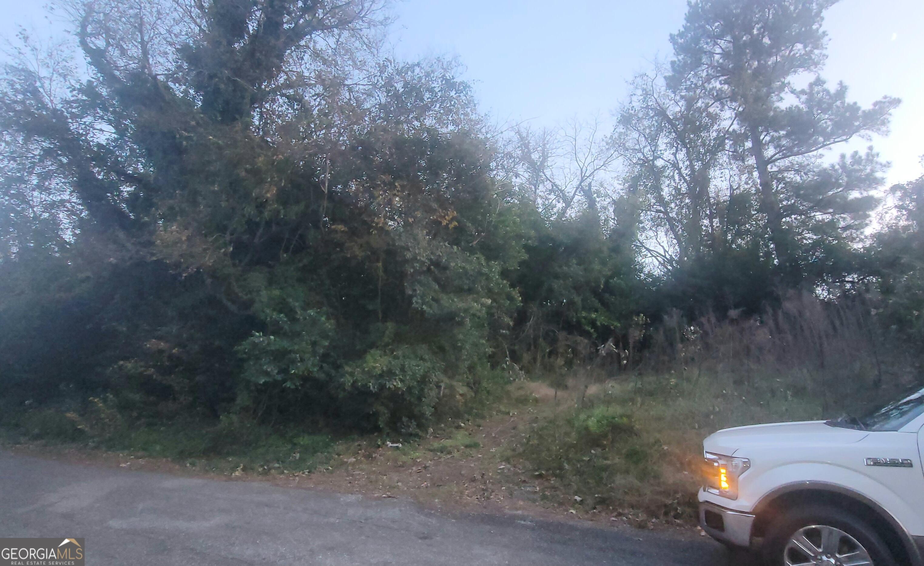 a view of yard with car parked on road