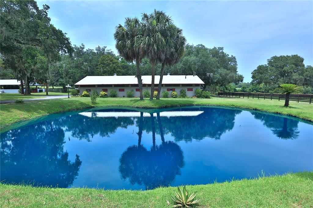 a view of a lake with a yard and large trees