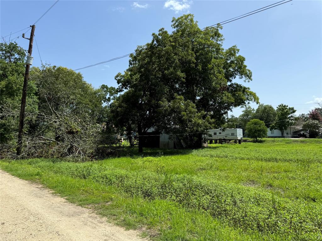 a view of a grassy field with trees