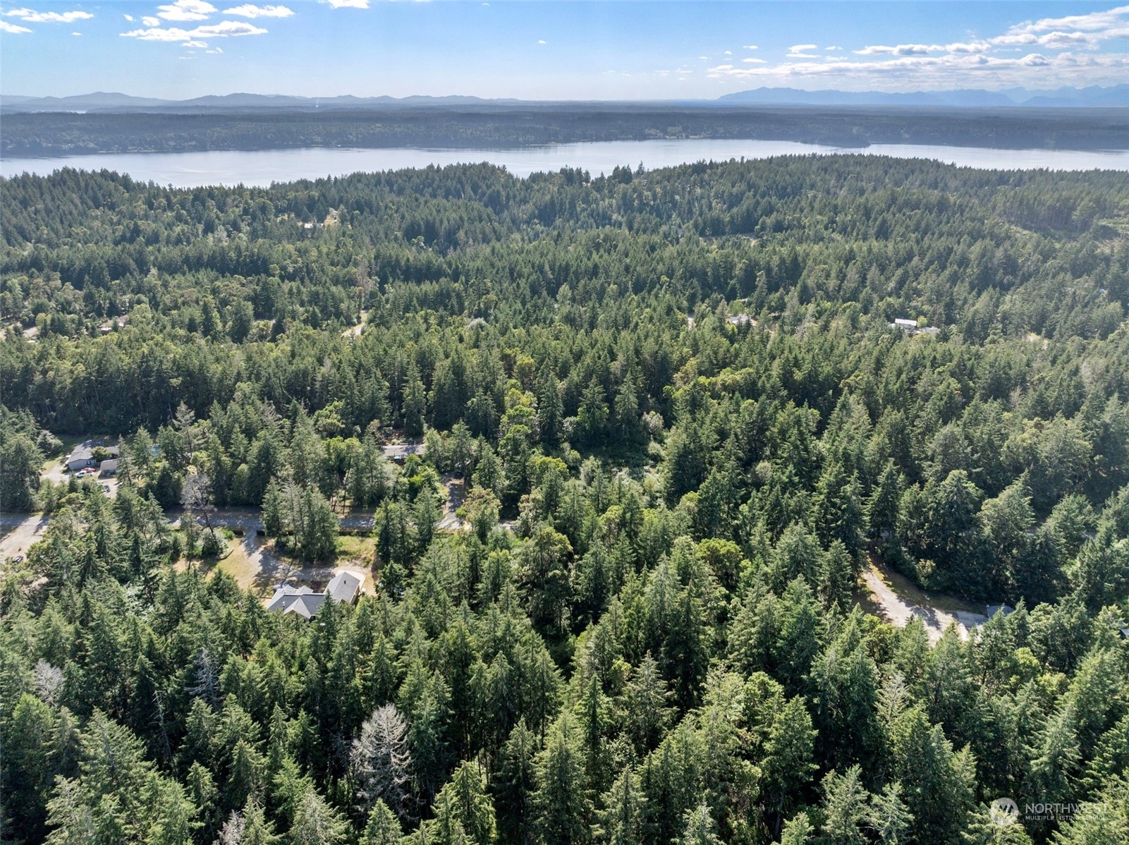 an aerial view of residential houses with outdoor space and trees