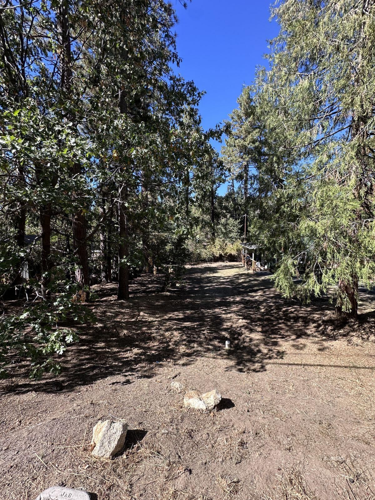 a view of outdoor space with trees