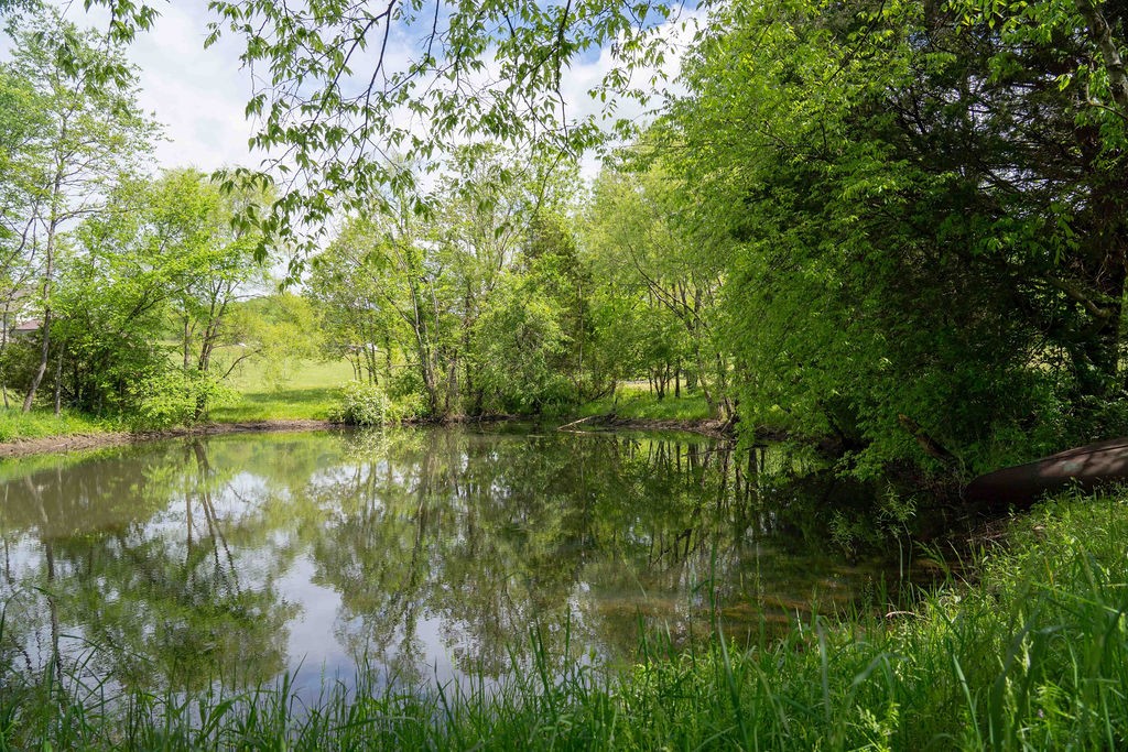 a view of lake with green space