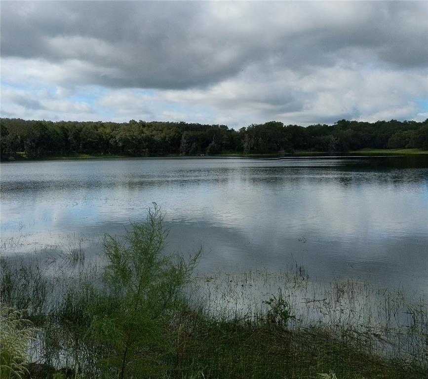 a view of a lake