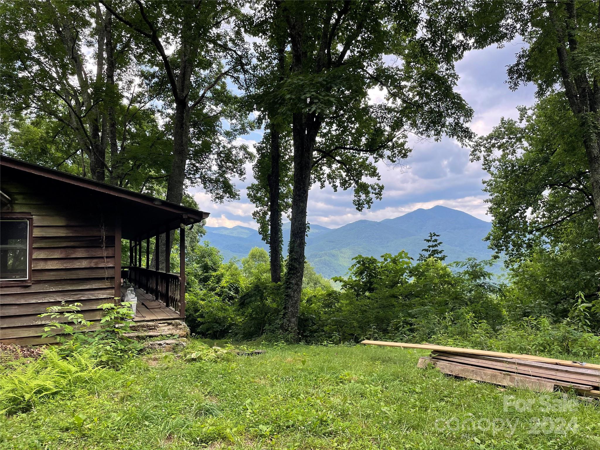 a view of a backyard