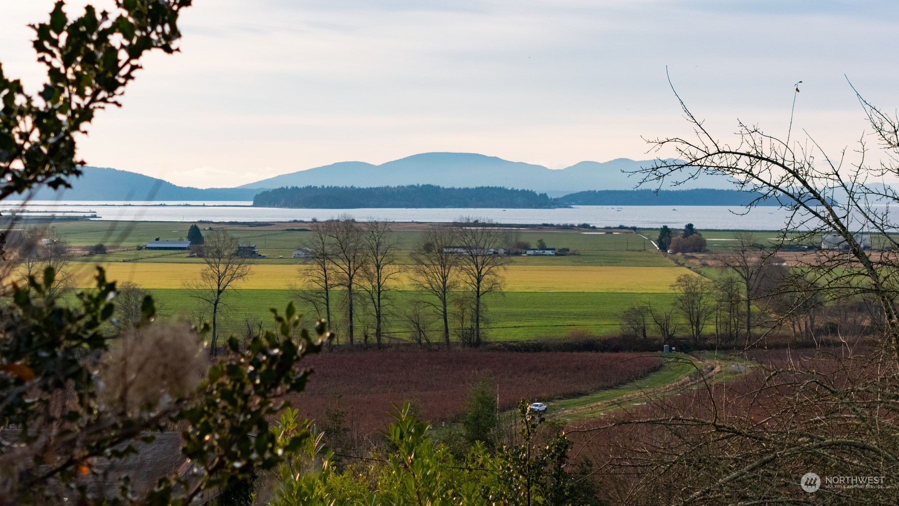 a view of a lake with a mountain in the background