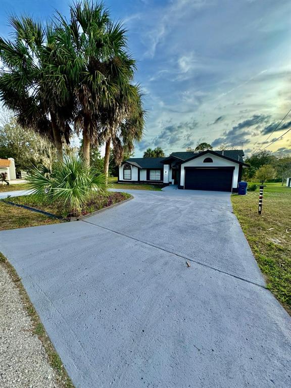 a row of palm trees and a yard with wooden fence