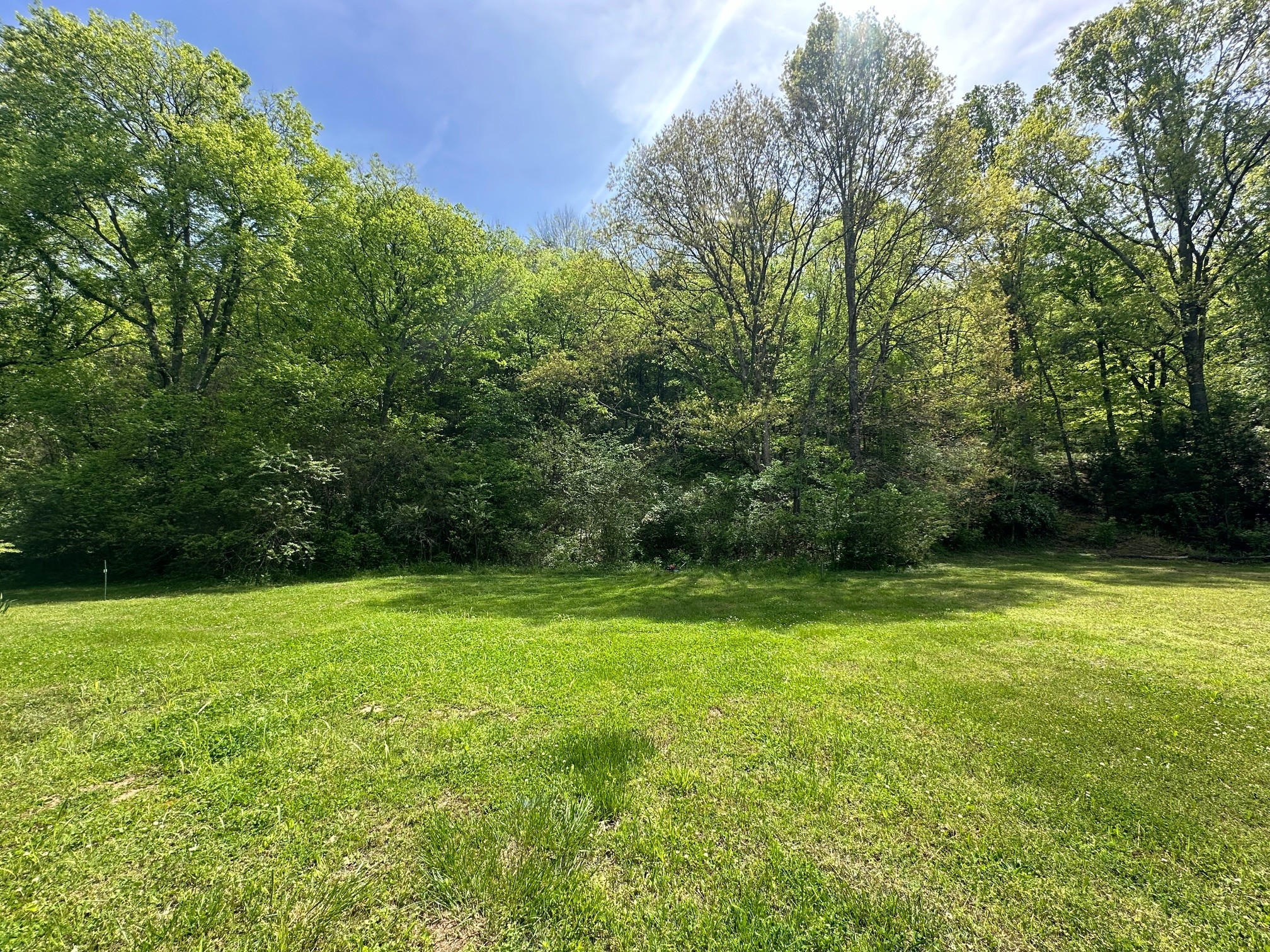 a view of a field with a trees